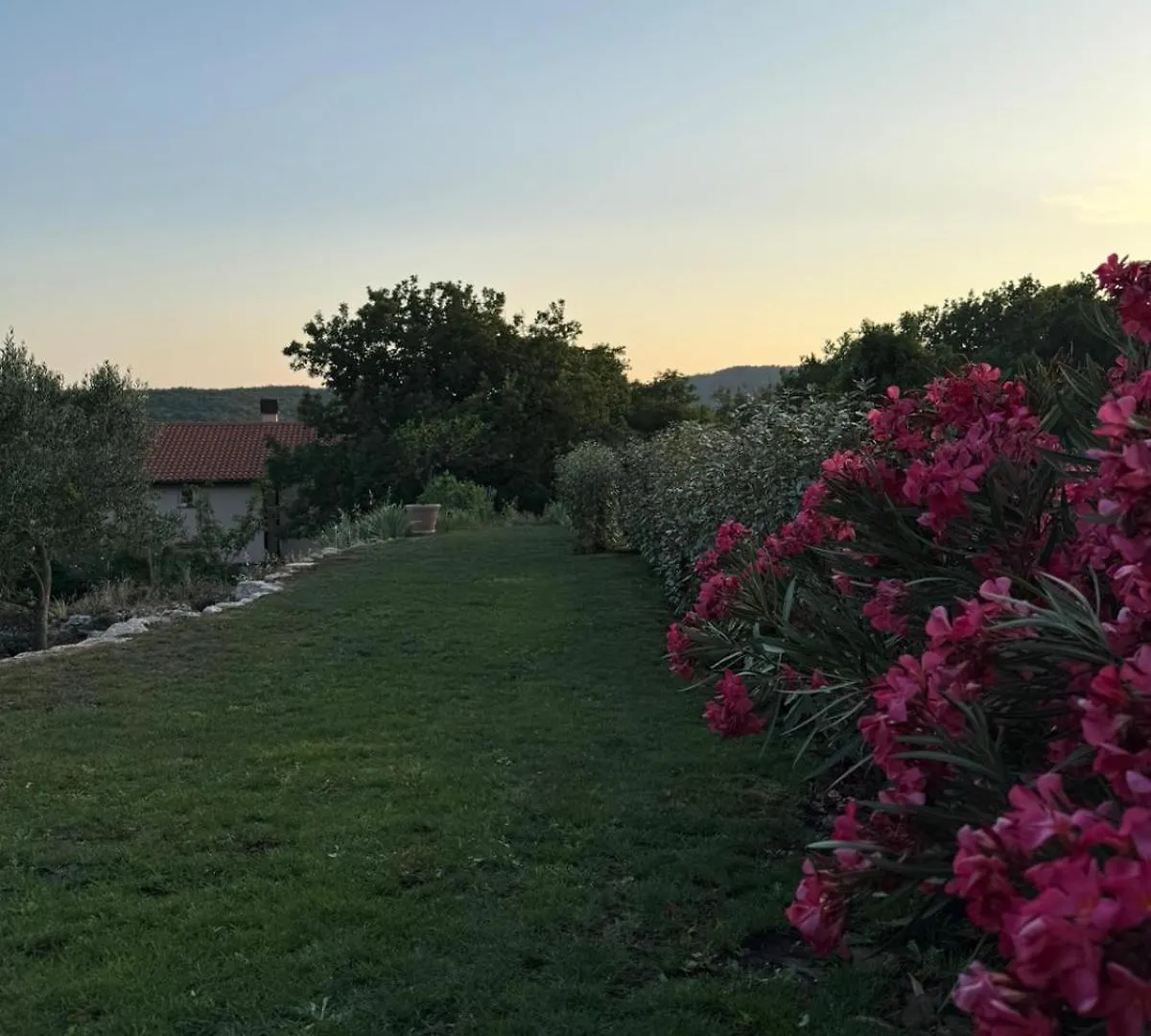 Stara Kuca - Old Stone House Villa Grizane-Belgrad Croatia